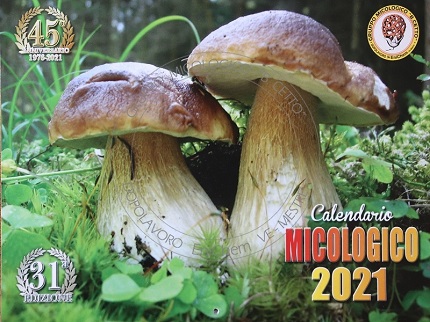 Calendario 2021